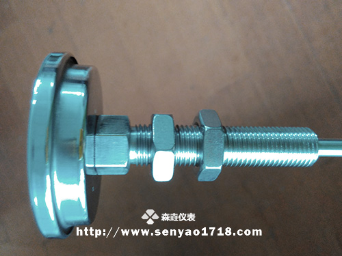 雙金屬溫度計(jì)帶2片螺母固定2.jpg