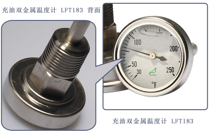 充油雙金屬溫度計(jì)T183
