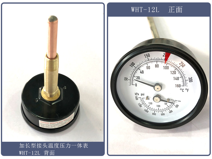 加長(zhǎng)型接頭溫度壓力一體表 WHT-12L (6).jpg