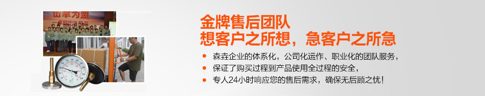 金牌售后團(tuán)隊(duì)，想客戶之所想，急客戶之所急