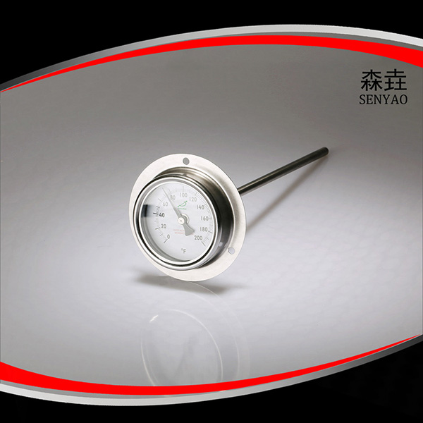 帶后法蘭雙金屬溫度計(jì) 型號(hào):T221F 帶后法蘭雙金屬溫度計(jì) 型號(hào):T221F