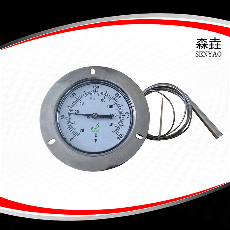 壓力式溫度計(jì) 型號(hào):321RF21021 壓力式溫度計(jì) 型號(hào):321RF21021