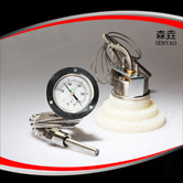 壓力式溫度計 型號:200RF21121 壓力式溫度計 型號:200RF21121
