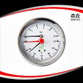 溫度壓力一體表 型號:WHT-20 溫度壓力一體表 型號:WHT-20